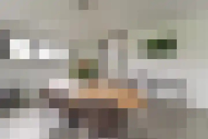 Keteweid 9 Blokker thumbnail 18