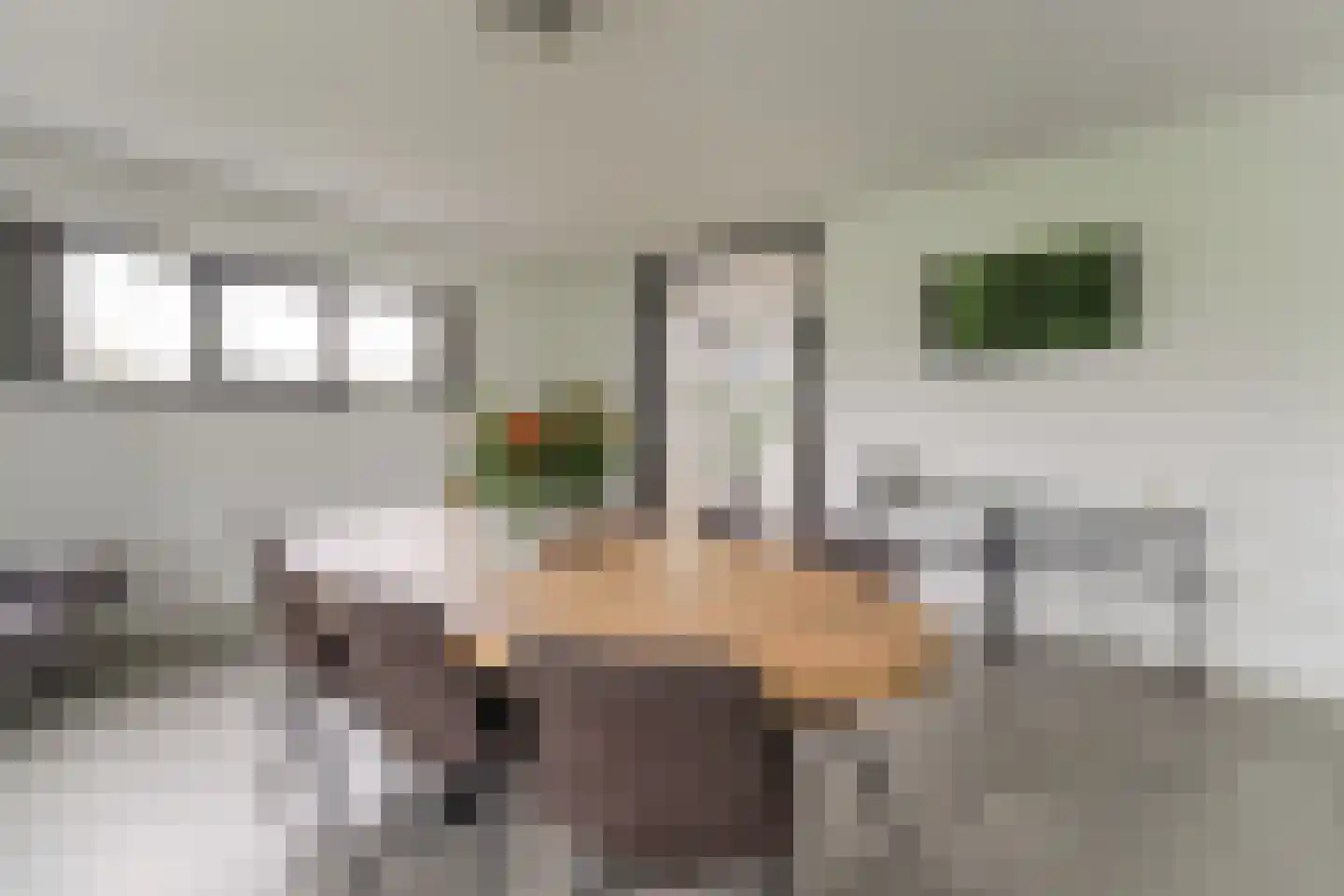 Keteweid 9 Blokker thumbnail 18