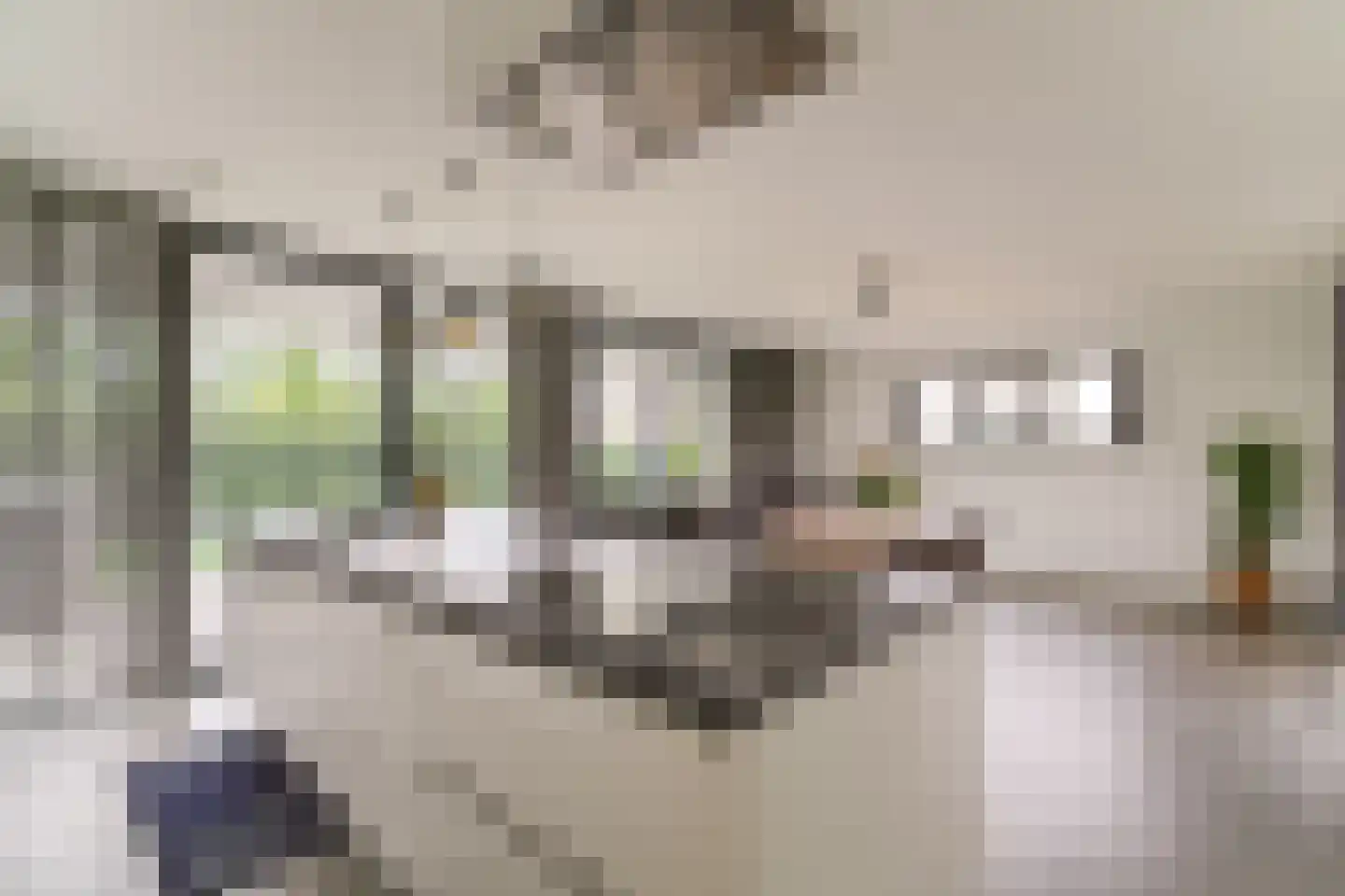 Keteweid 9 Blokker thumbnail 19