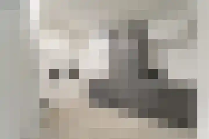 Keteweid 9 Blokker thumbnail 25