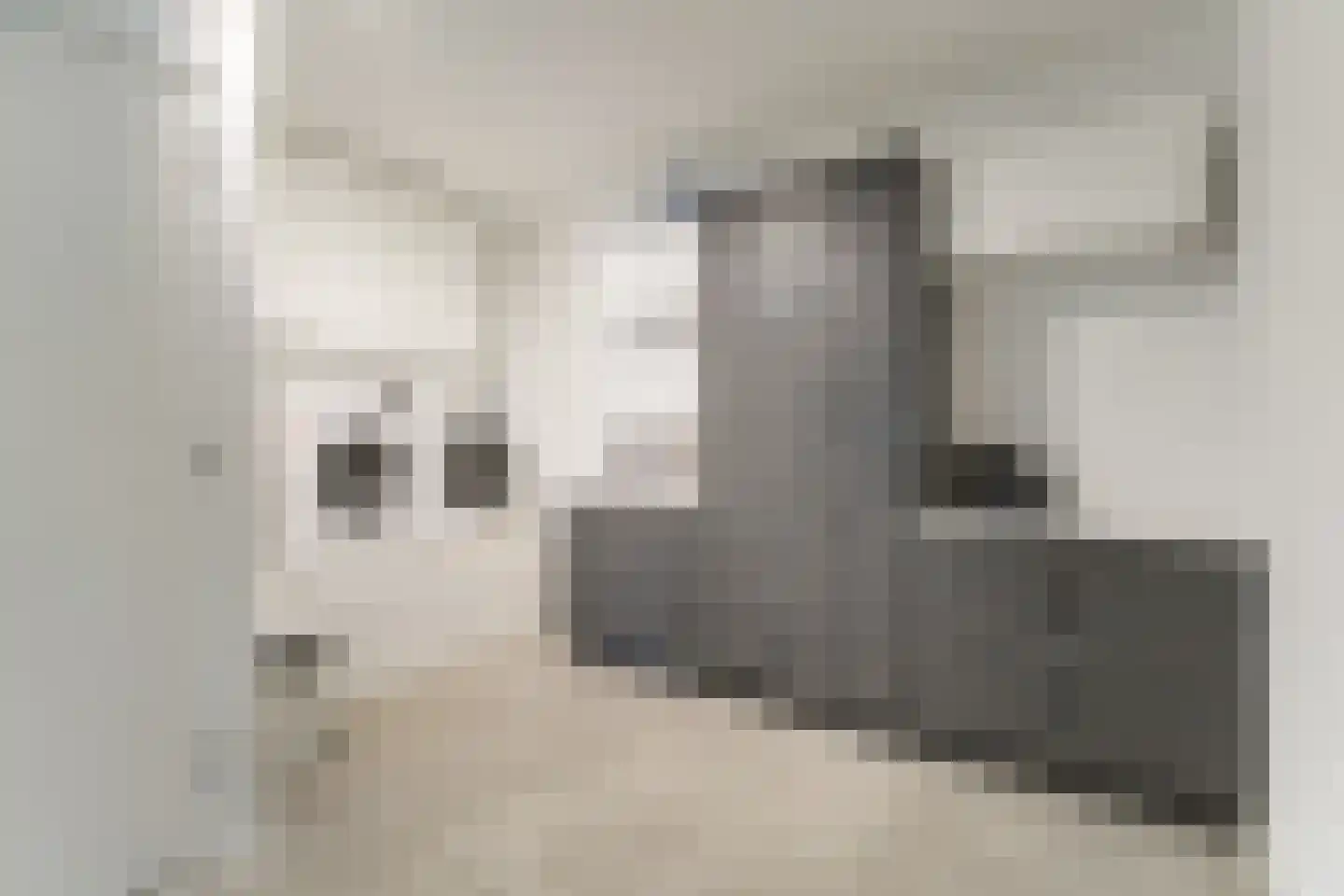 Keteweid 9 Blokker thumbnail 25