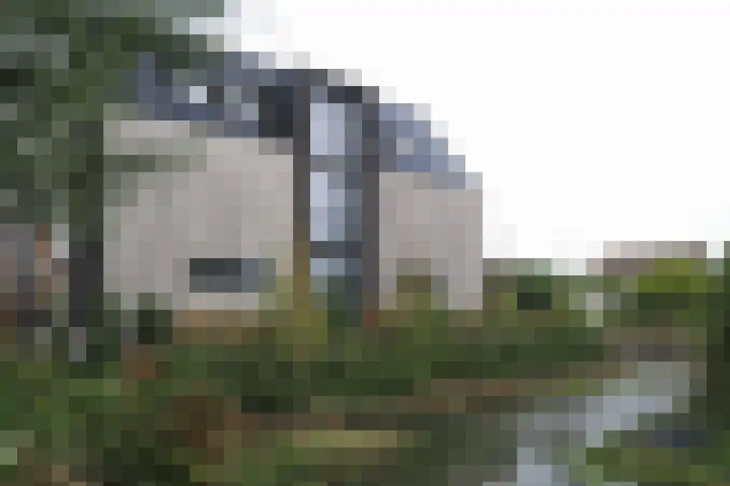Keteweid 9 Blokker thumbnail 27
