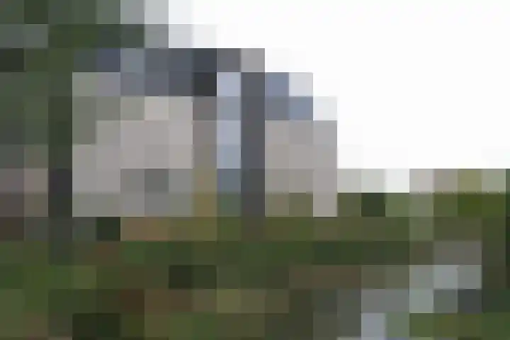 Keteweid 9 Blokker thumbnail 27