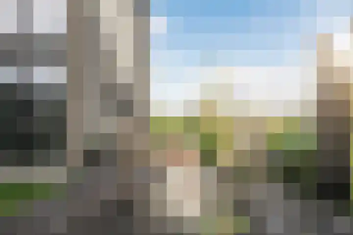 Keteweid 9 Blokker thumbnail 28