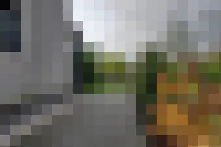 Keteweid 9 Blokker thumbnail 29