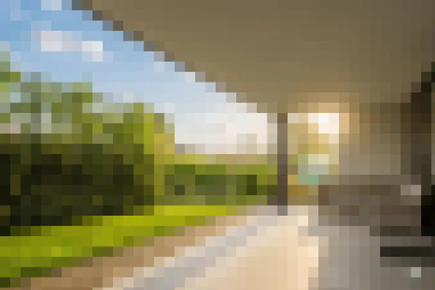 Keteweid 9 Blokker thumbnail 30
