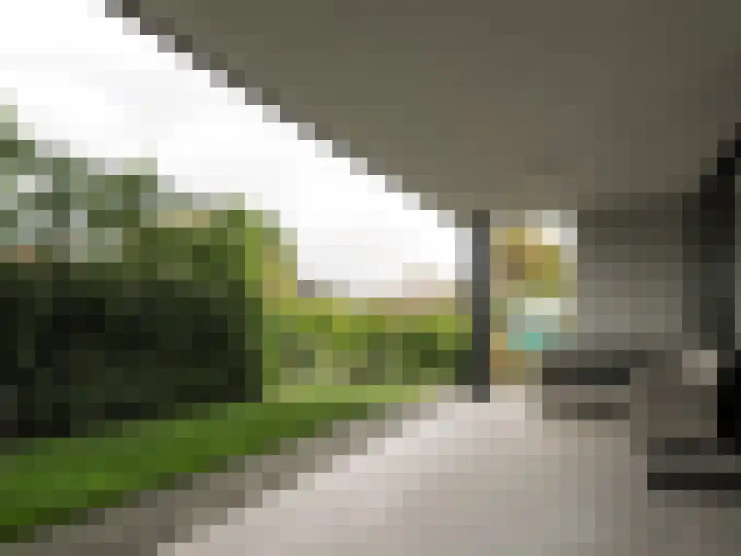 Keteweid 9 Blokker thumbnail 30