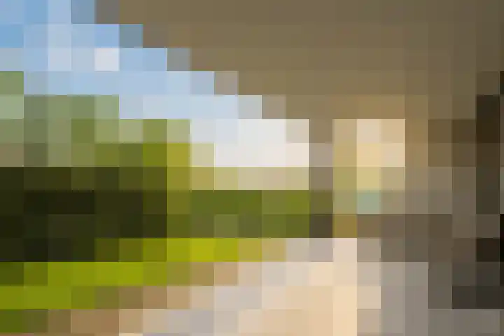 Keteweid 9 Blokker thumbnail 30