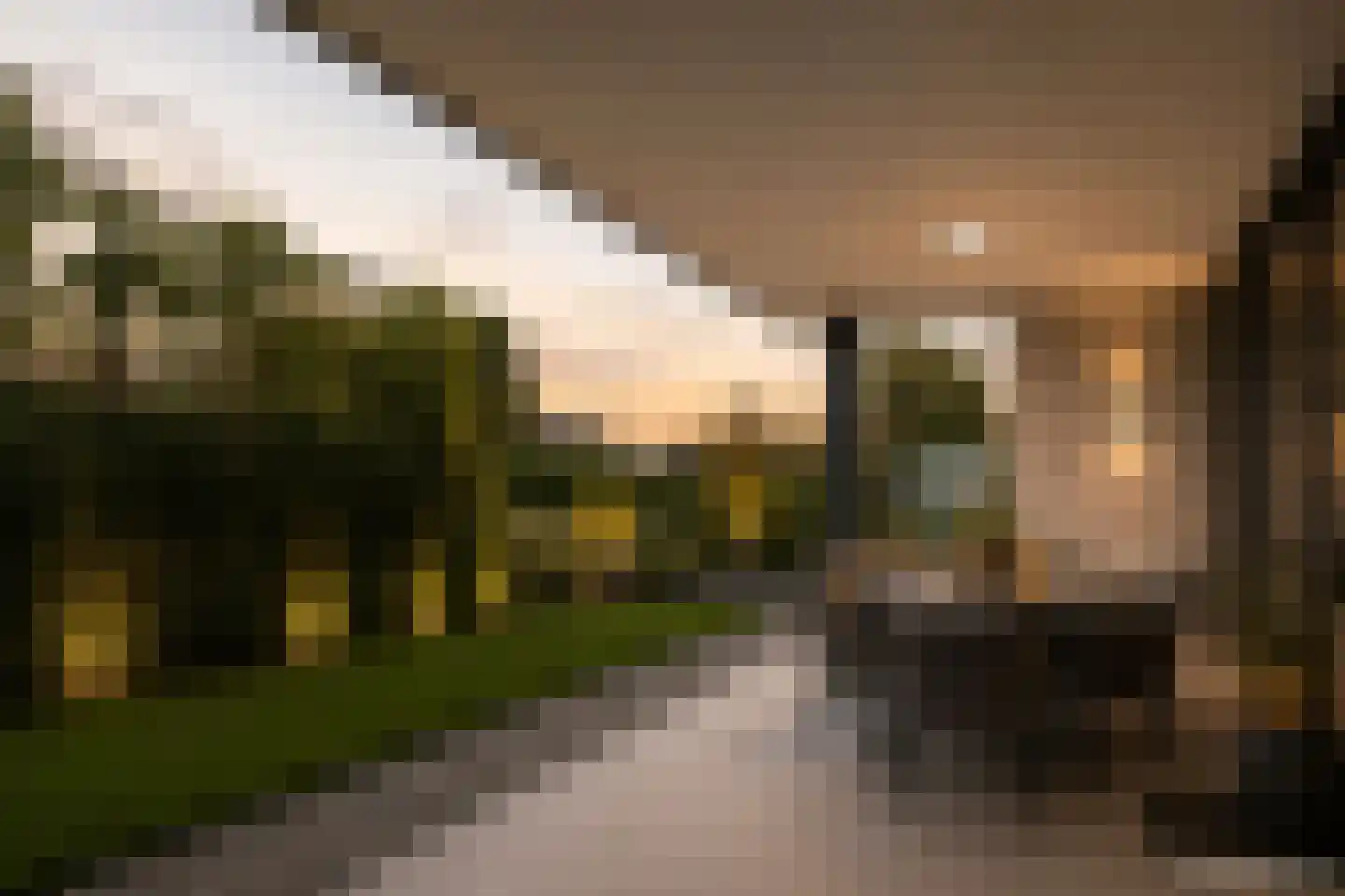 Keteweid 9 Blokker thumbnail 31
