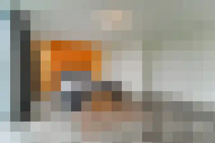 Keteweid 9 Blokker thumbnail 34