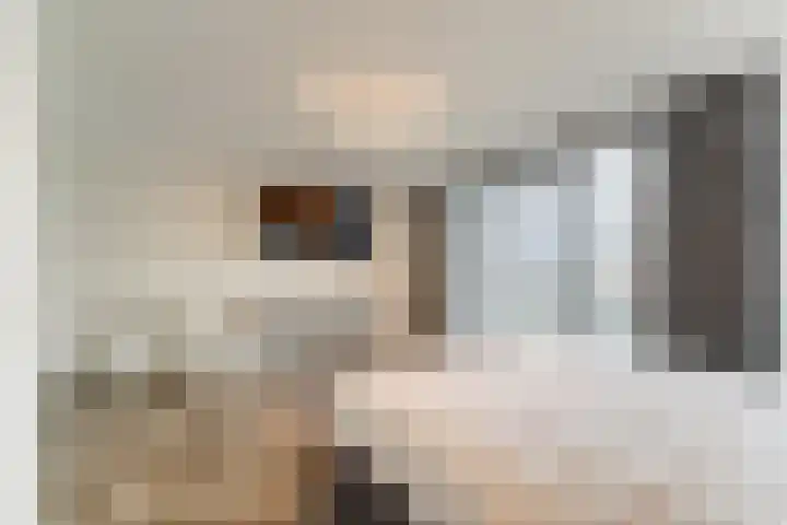 Keteweid 9 Blokker thumbnail 38