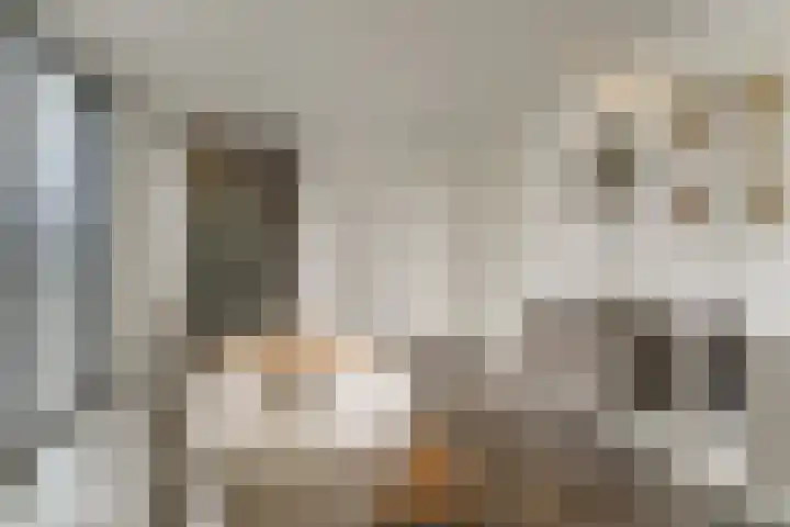 Keteweid 9 Blokker thumbnail 39