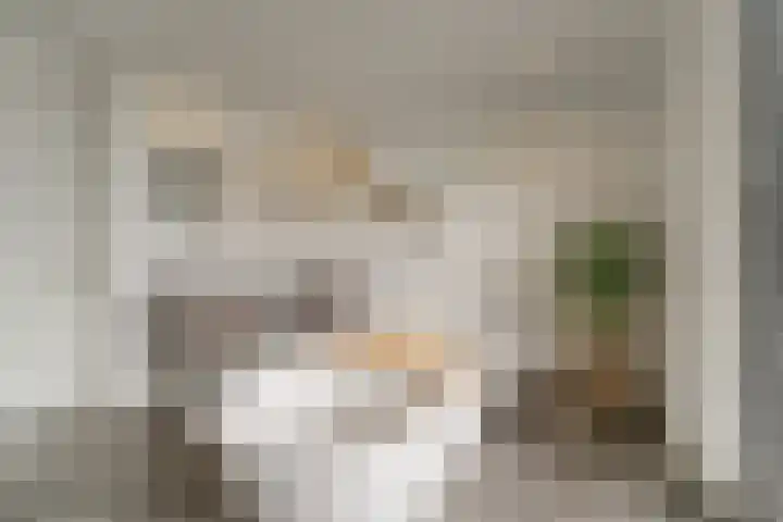 Keteweid 9 Blokker thumbnail 41