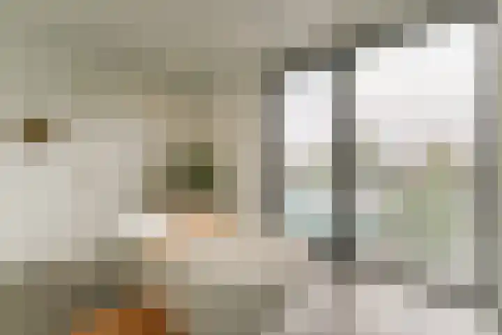 Keteweid 9 Blokker thumbnail 42