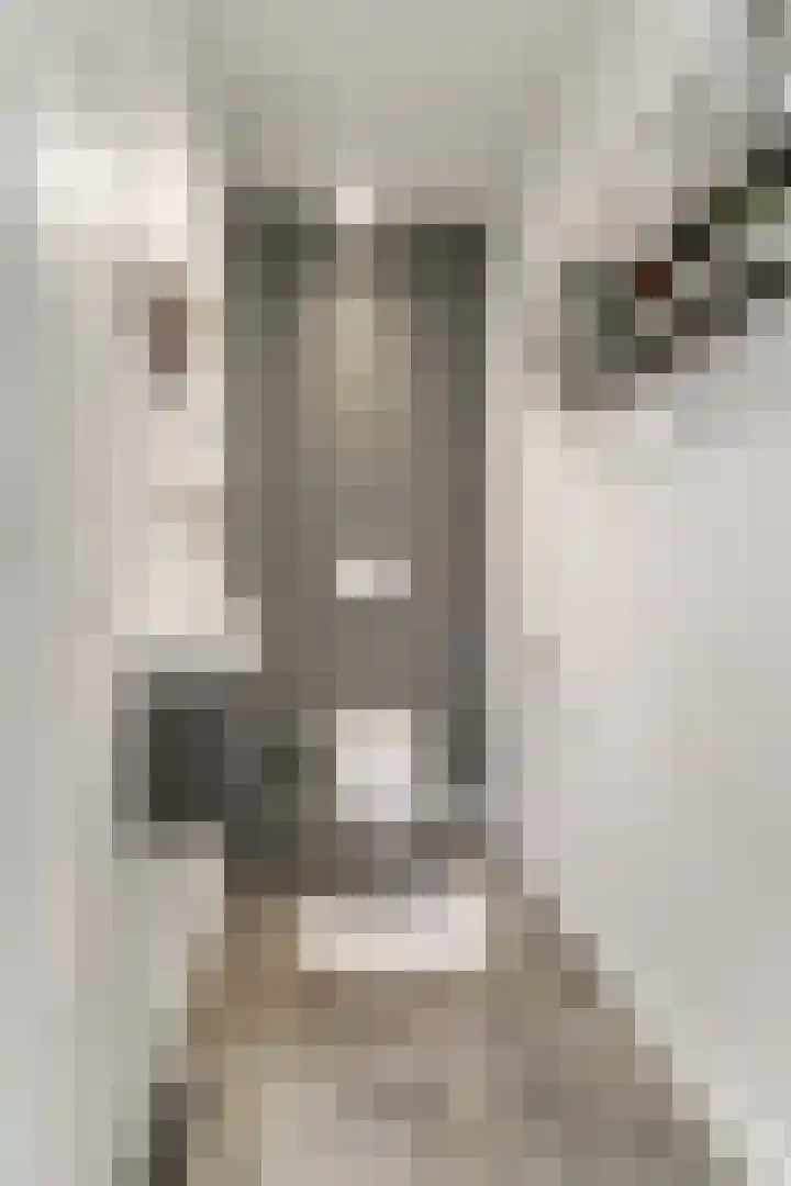 Keteweid 9 Blokker thumbnail 43