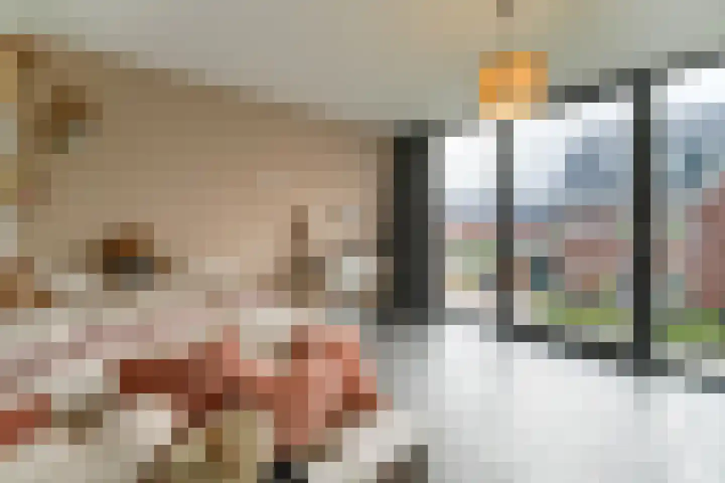 Keteweid 9 Blokker thumbnail 47
