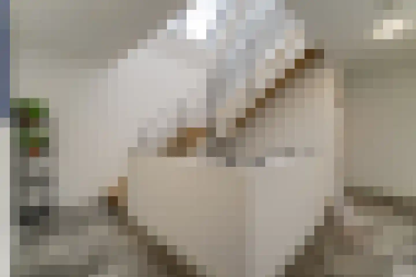 Keteweid 9 Blokker thumbnail 52