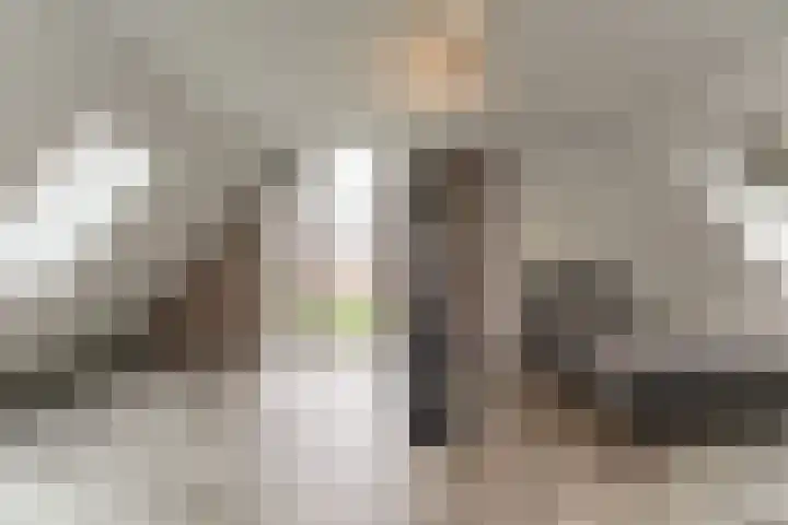 Keteweid 9 Blokker thumbnail 55