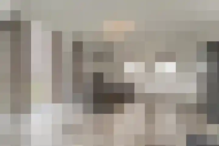 Keteweid 9 Blokker thumbnail 56