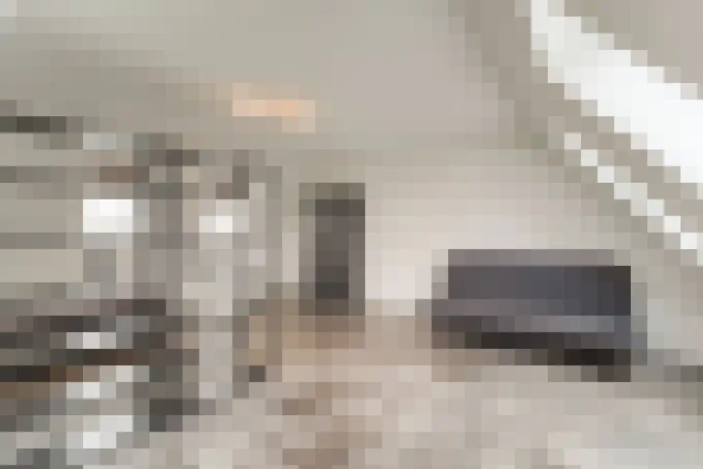 Keteweid 9 Blokker thumbnail 57