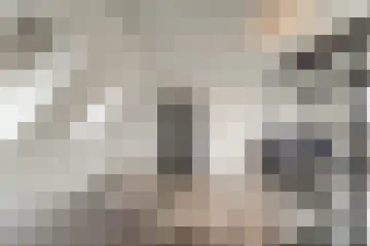 Keteweid 9 Blokker thumbnail 58