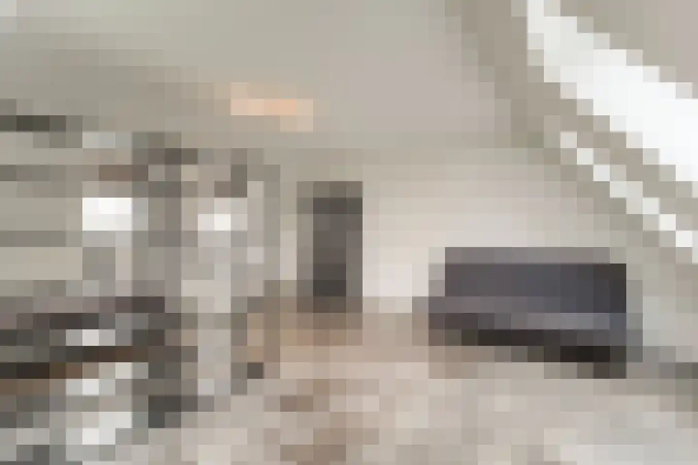 Keteweid 9 Blokker thumbnail 58