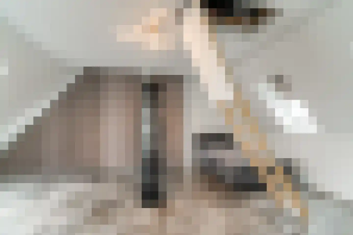 Keteweid 9 Blokker thumbnail 59