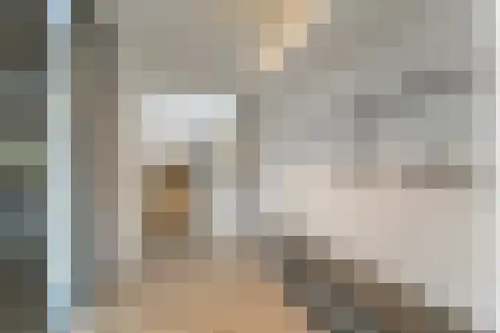 Keteweid 9 Blokker thumbnail 6
