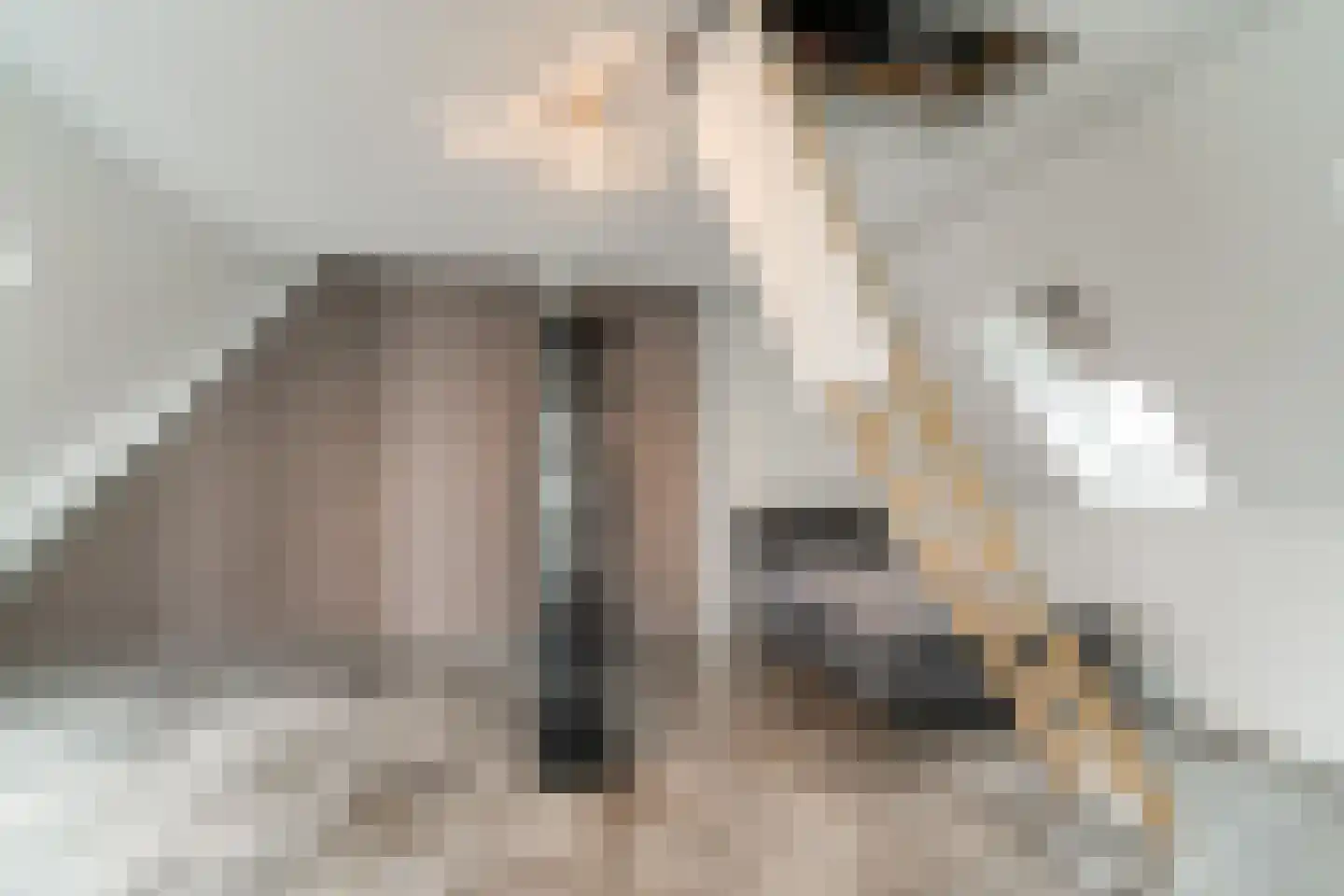 Keteweid 9 Blokker thumbnail 61