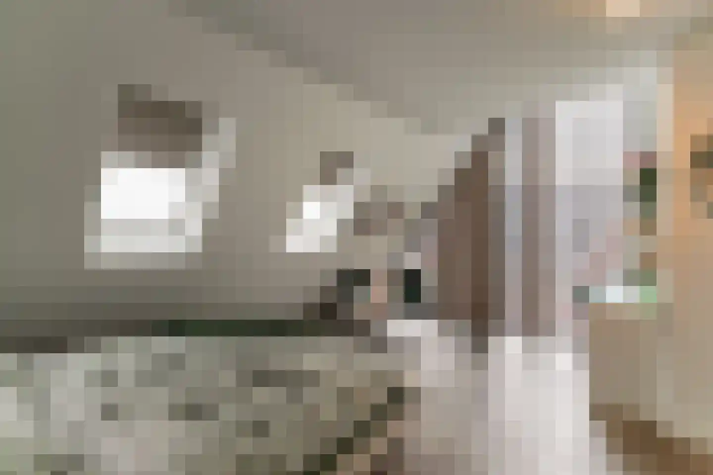 Keteweid 9 Blokker thumbnail 62
