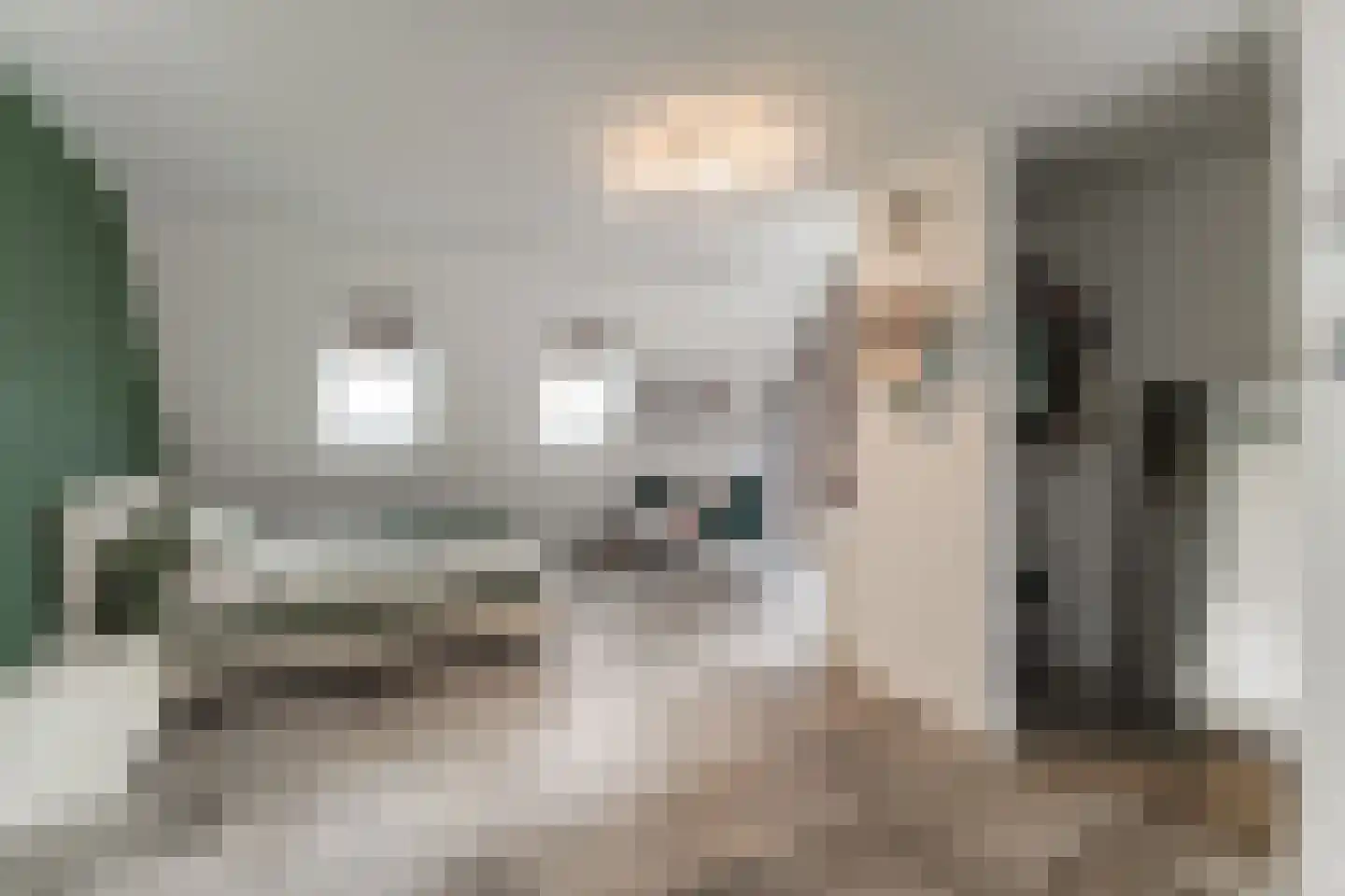 Keteweid 9 Blokker thumbnail 63