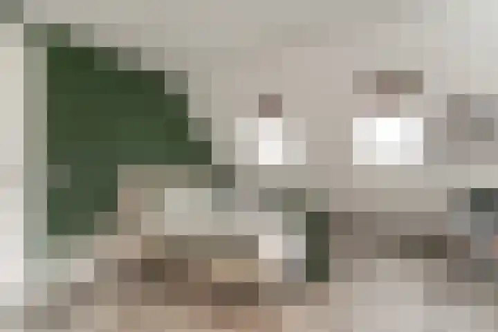 Keteweid 9 Blokker thumbnail 63