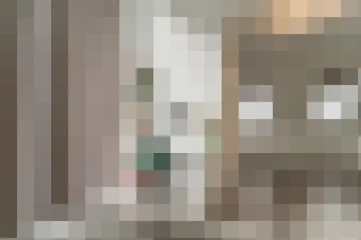 Keteweid 9 Blokker thumbnail 64
