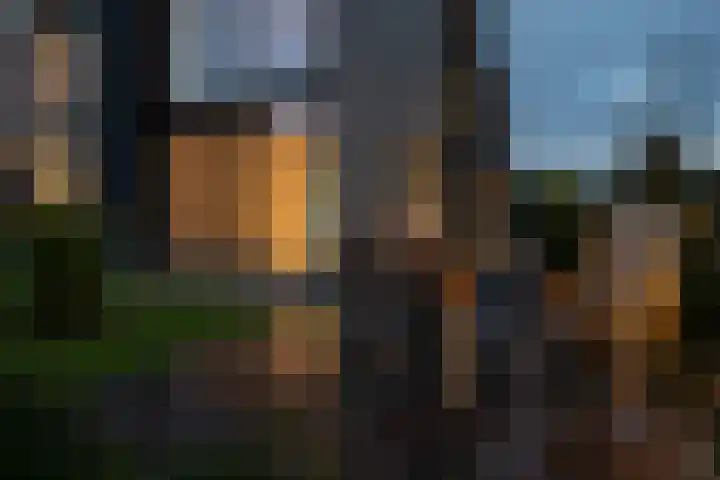 Keteweid 9 Blokker thumbnail 70