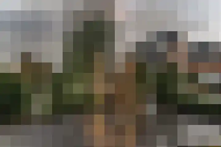 Keteweid 9 Blokker thumbnail 71
