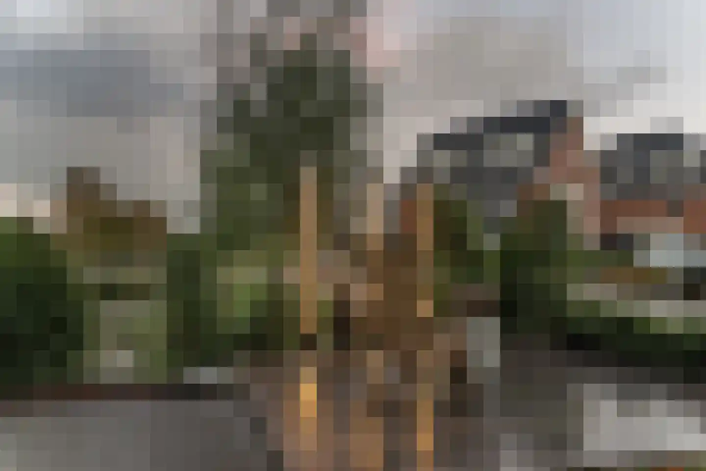 Keteweid 9 Blokker thumbnail 71