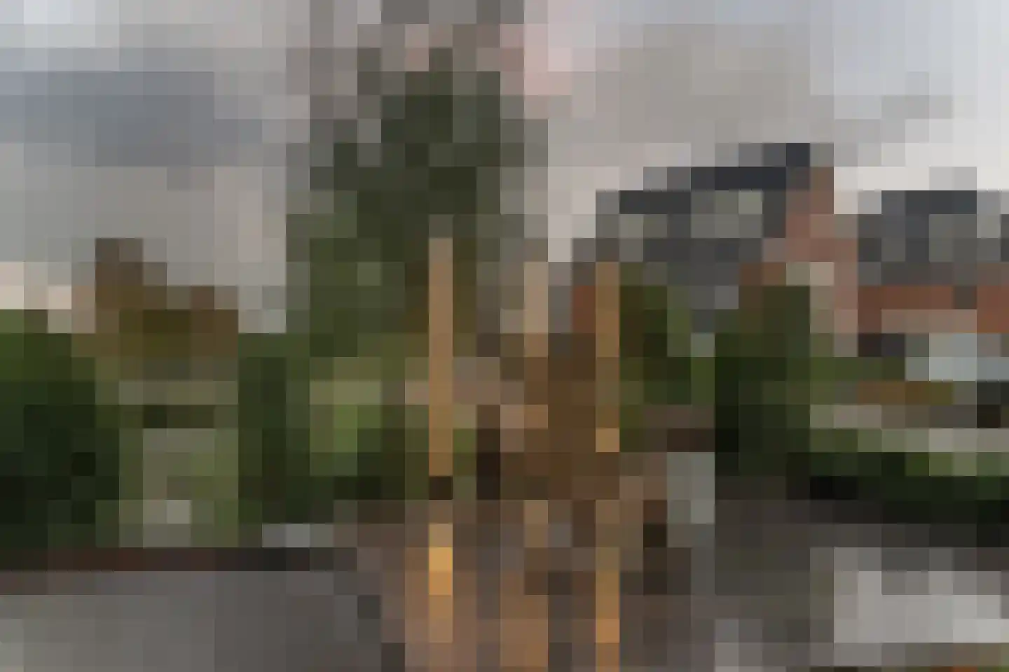 Keteweid 9 Blokker thumbnail 73