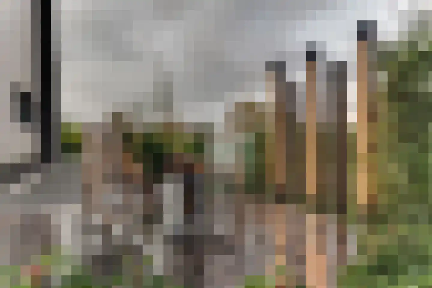 Keteweid 9 Blokker thumbnail 74