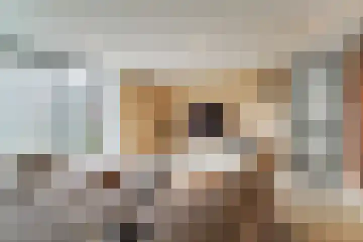 Keteweid 9 Blokker thumbnail 9
