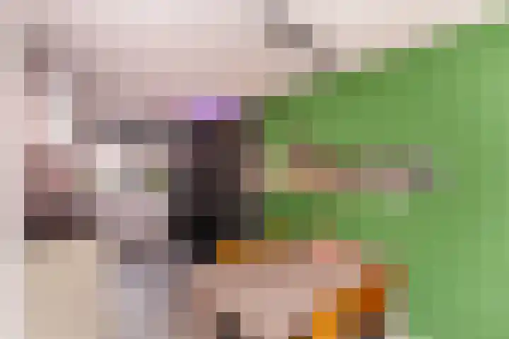 Kethelsesluis 9 Vlaardingen thumbnail 14