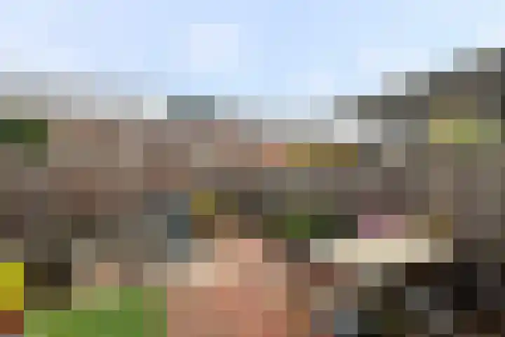 Kethelsesluis 9 Vlaardingen thumbnail 19