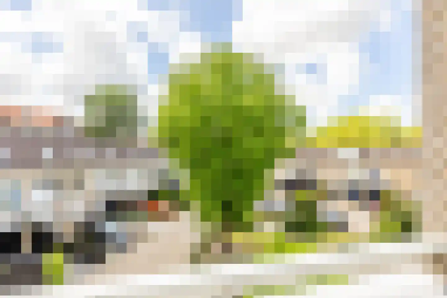 Kethelstraat 13 Schiedam thumbnail 20