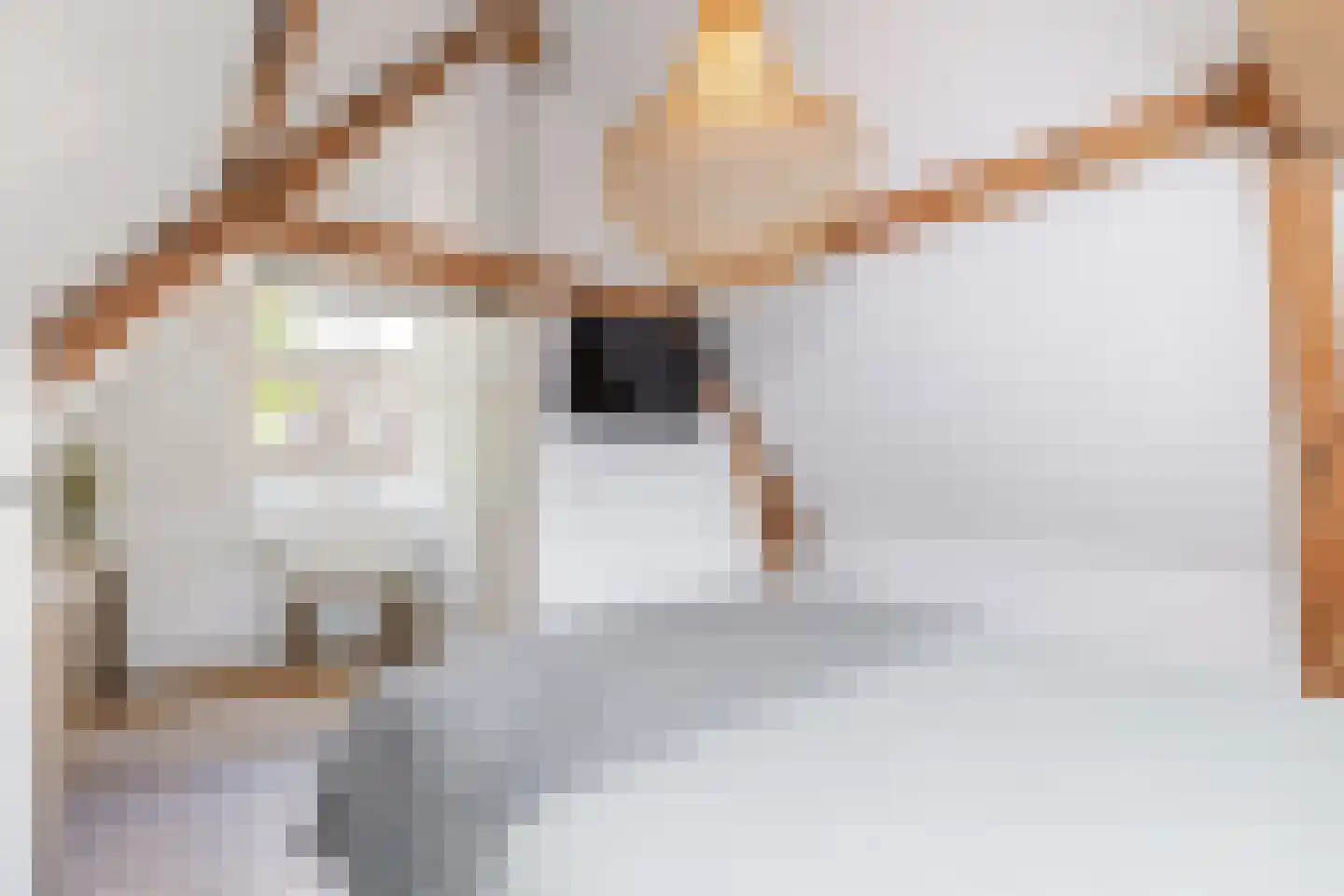 Kethelstraat 22 Schiedam thumbnail 50