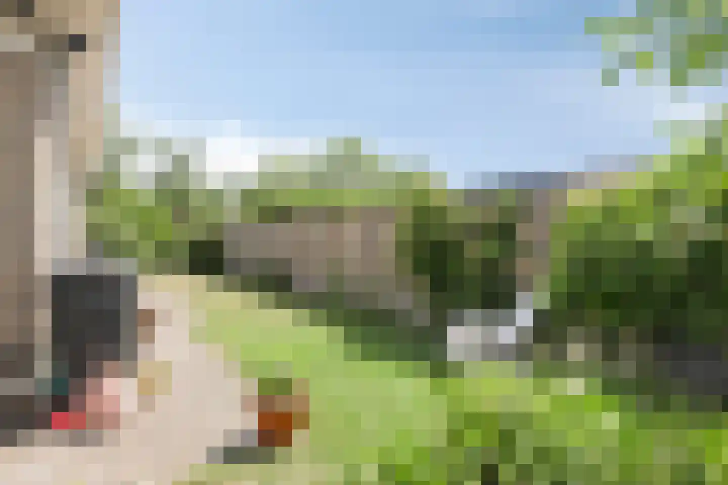 Kethelweg 206 Vlaardingen thumbnail 17