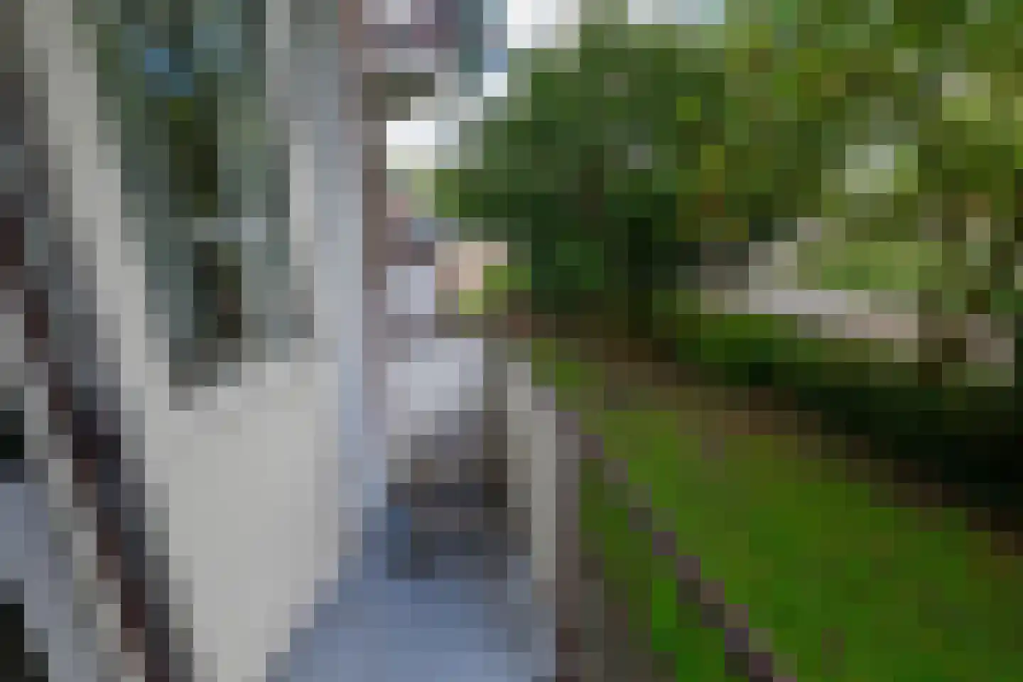 Kethelweg 221 A Vlaardingen thumbnail 24