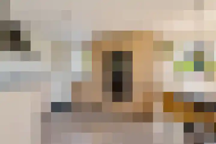 Kets 33 A Marken thumbnail 17
