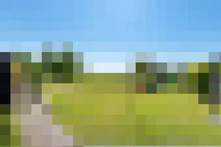 Kets 33 A Marken thumbnail 4