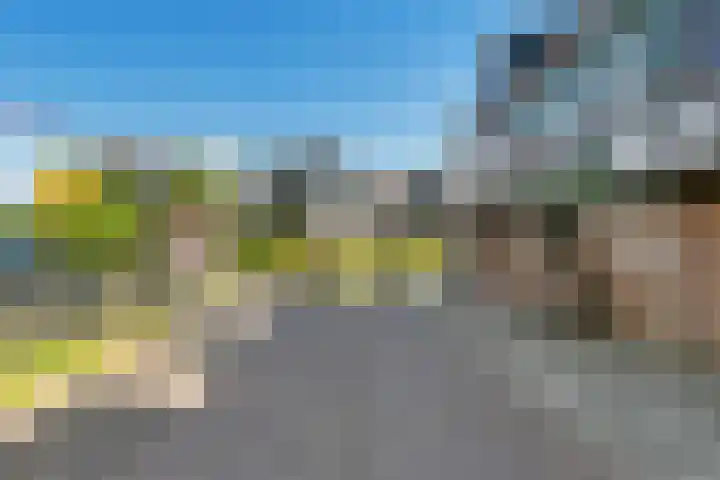 Kets 33 A Marken thumbnail 7