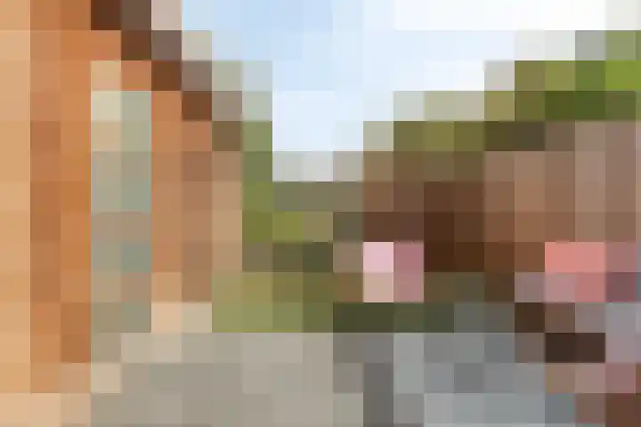 Ketsheuvel 34 's-Hertogenbosch thumbnail 13
