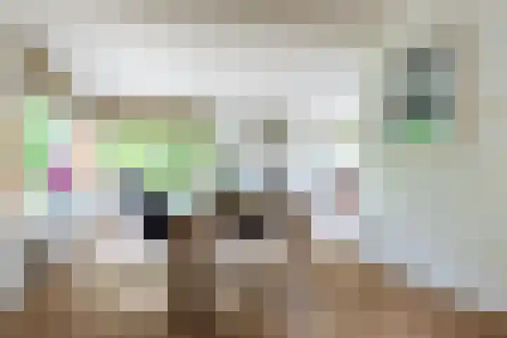 Ketsheuvel 36 Renkum thumbnail 15